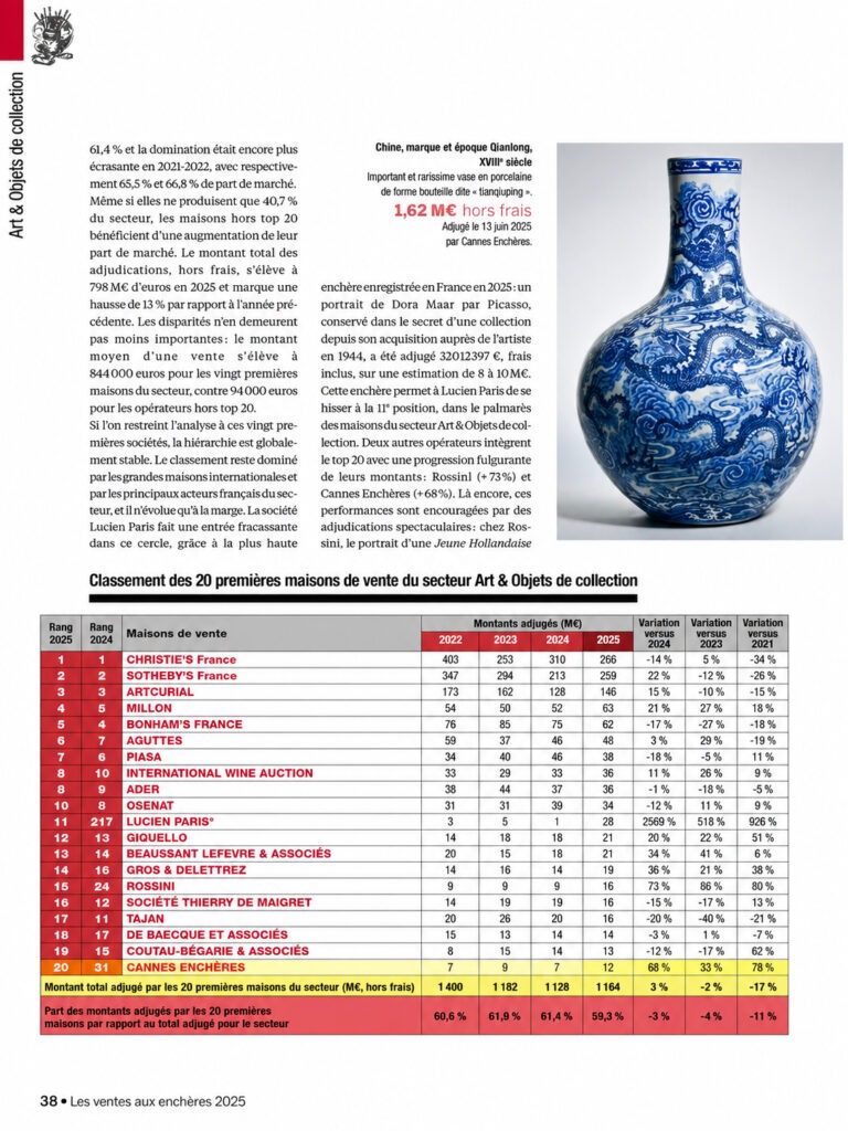 Rapport annuel du conseil des maisons de vente 2025